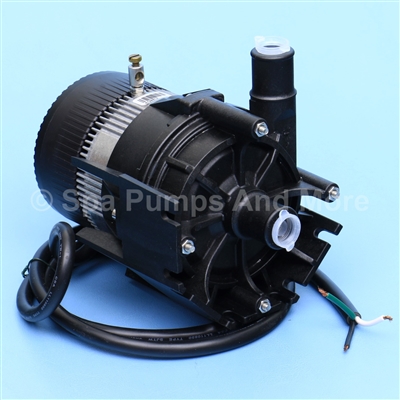 LAING Circ Pump for Hot Tub, Laing Spa Circ Pump, 230V, E10-NSHNNN2W-20 ...